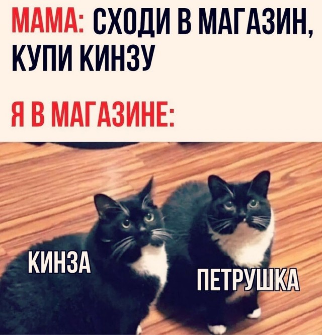 Отряд быстрой деградации
