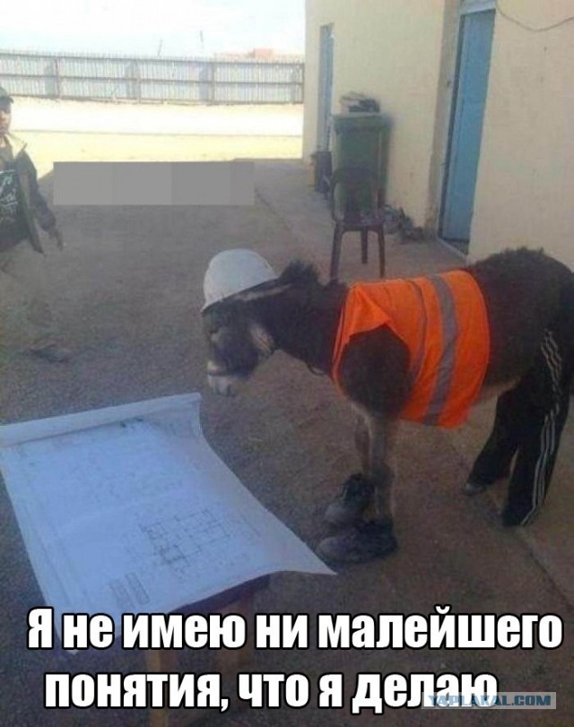 BOSS