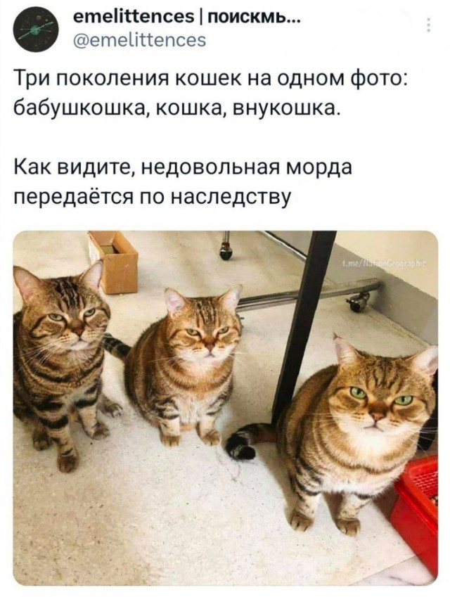 Завалялось тут случайно немного забавных картинок