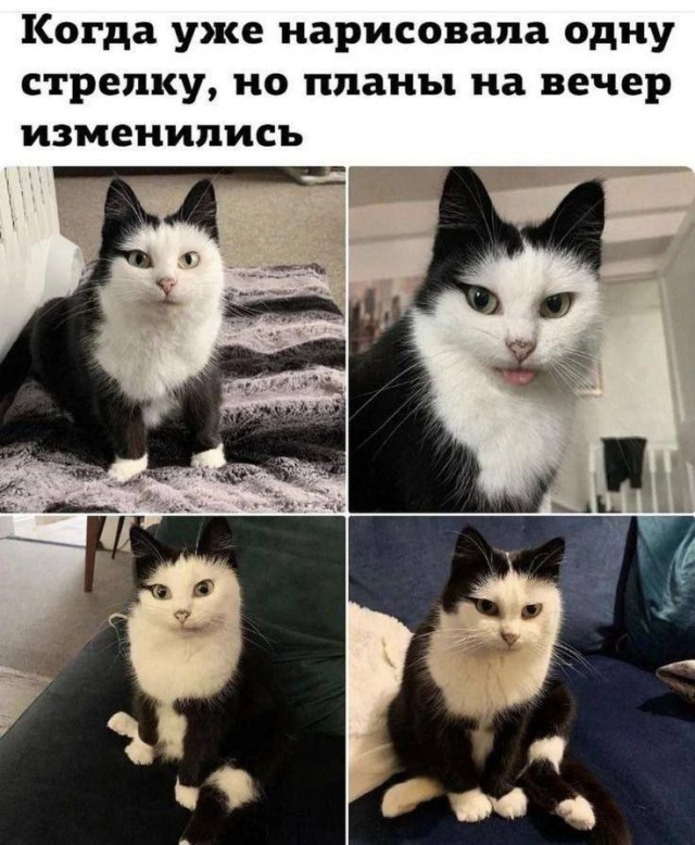 Завалялось тут случайно немного забавных картинок