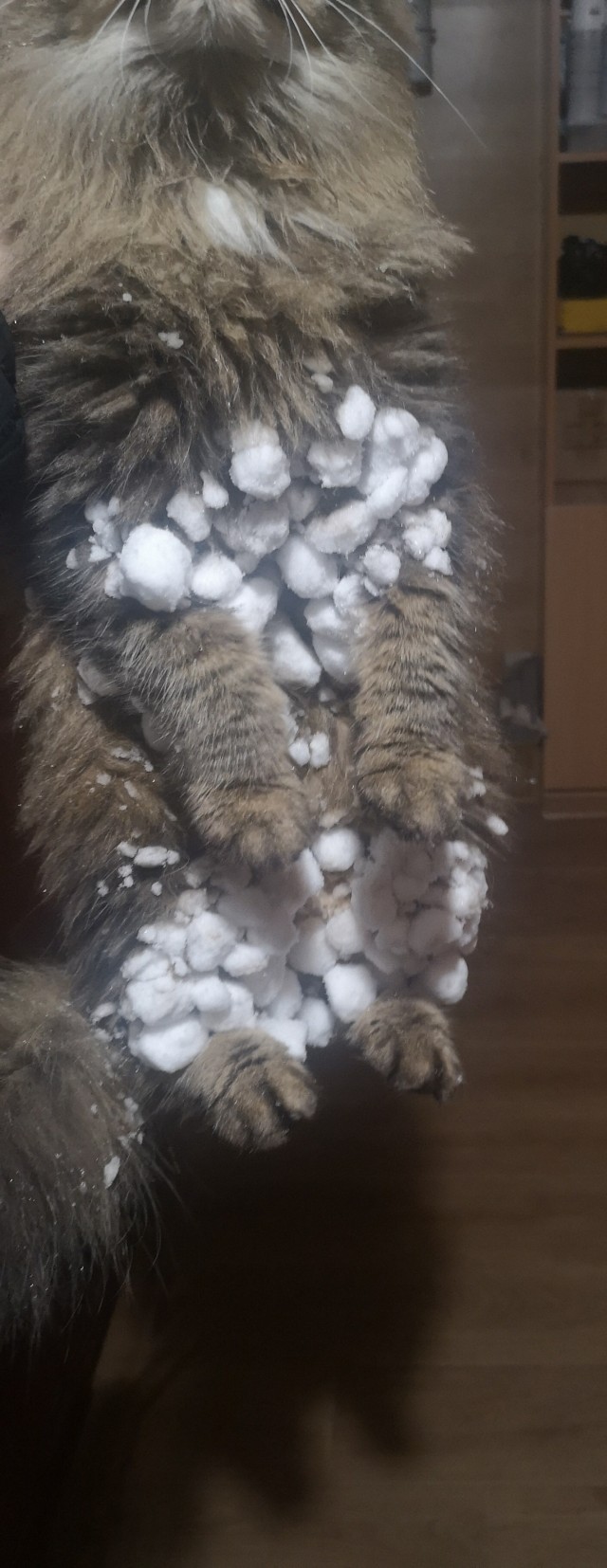 Беги, Наташа