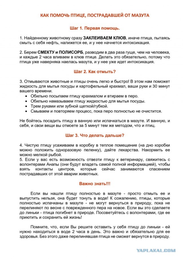 Отдых в Анапе, похоже, ВСЁ: экологи бьют тревогу из-за разлива мазута