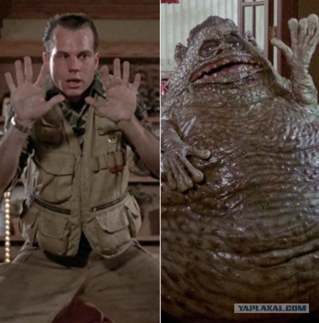 Так ещё не каждый смог бы