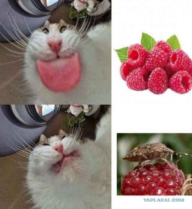 Деревня