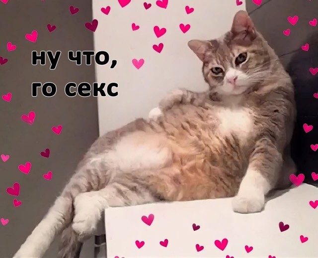 Сегодня отмечается Международный день согласия на секс