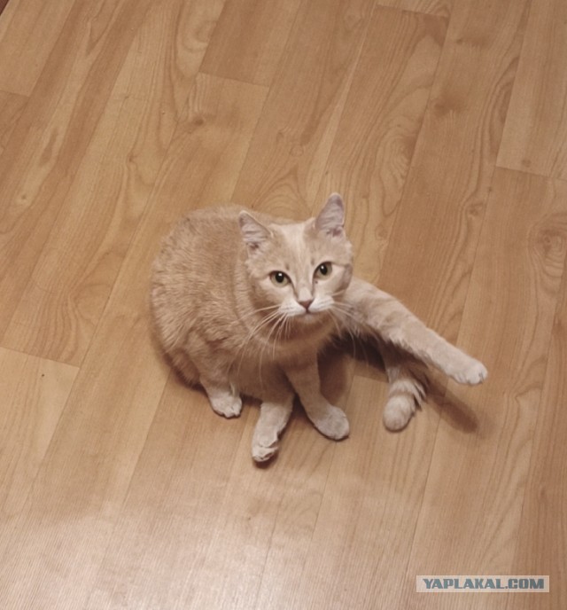 У кого