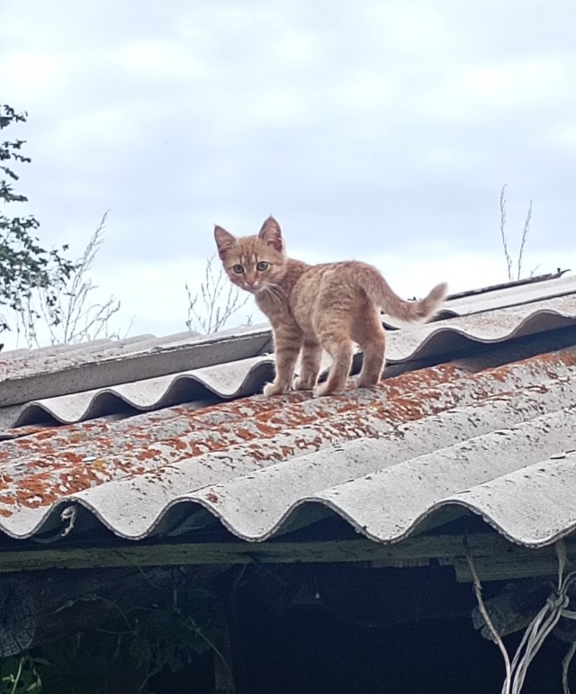 Завораживающее зрелище