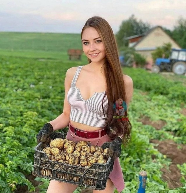 Девчата для Тонуса - 176