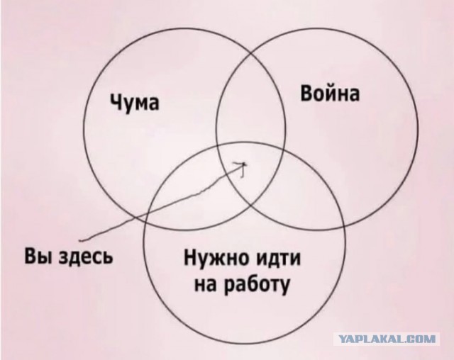 Масочный режим ввели на Иркутском алюминиевом заводе после смерти сотрудницы лаборатории, у которой подозревали чуму