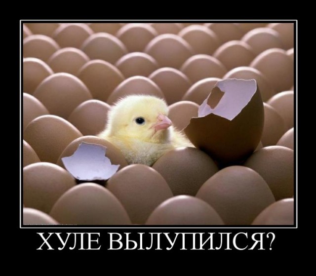 Демотиваторы