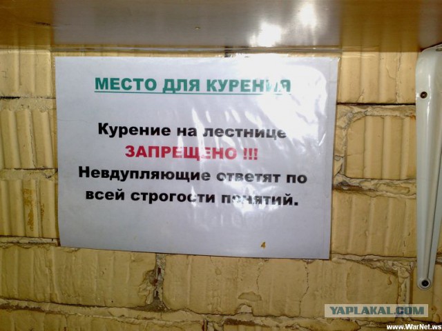 Маразмы года 2013