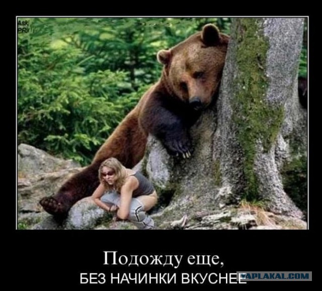 Демотиваторы вторника