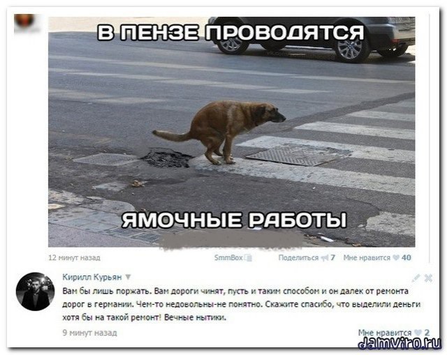 Смешные комментарии из социальных сетей