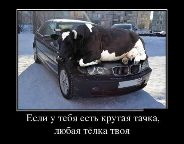 Познакомлюсь с парнем (желательно с АВТО)