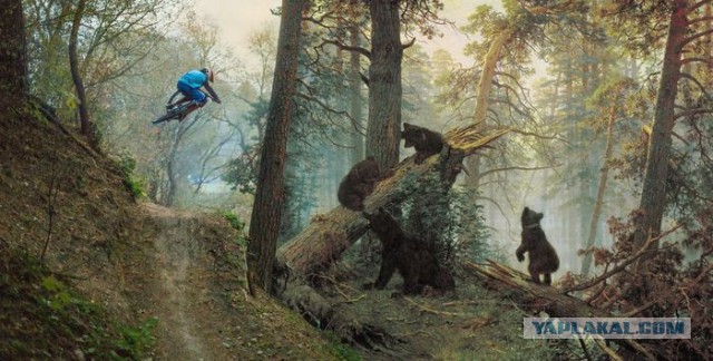 Фотоприколы