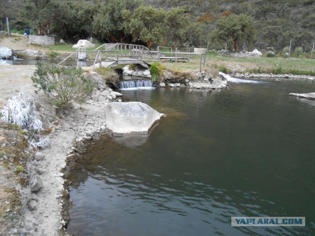 Рыбная ферма. Эквадор