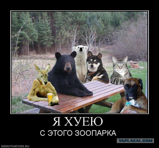 Абсурдный юмор ч.15