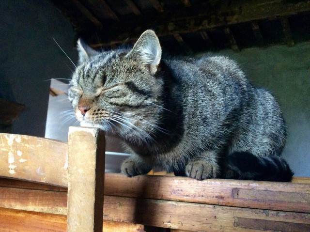 Я так в Армии спал