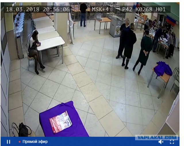 Видеотрансляция выборов 2018