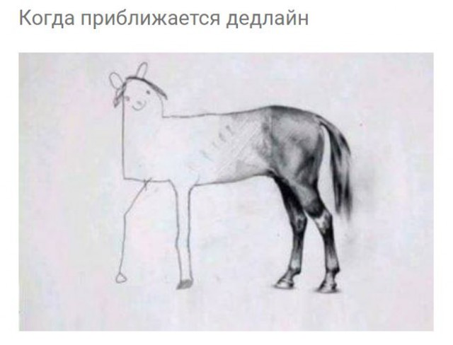 Итоги проверки пользователей