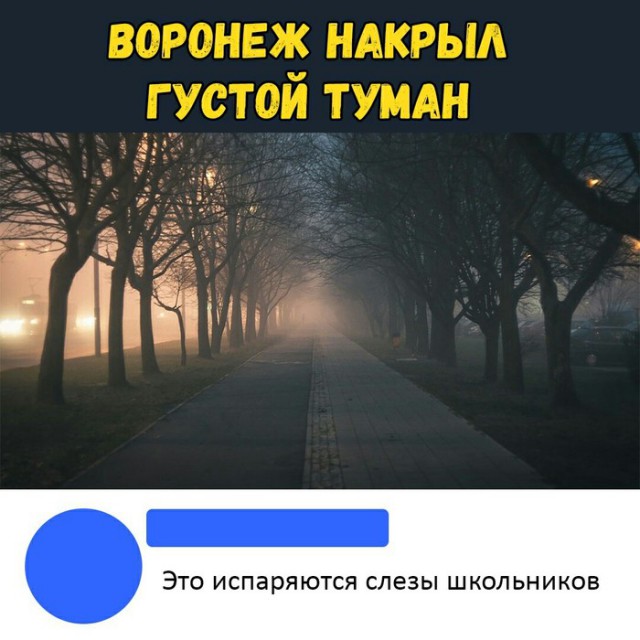 Чутка веселухи