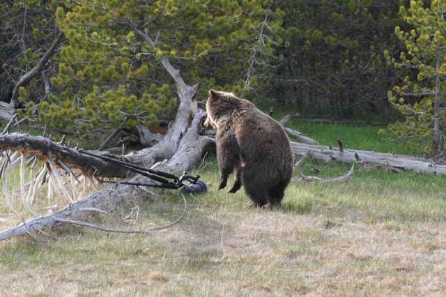 Не люблю папарацци!