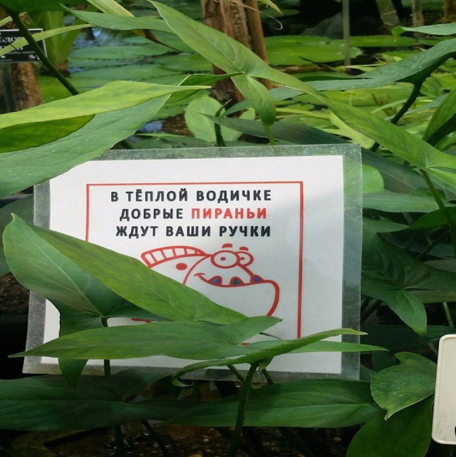 Прикольные надписи и объявления