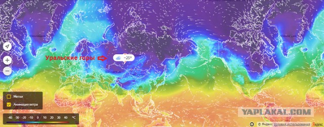 Пустыня Сахара постепенно зеленеет