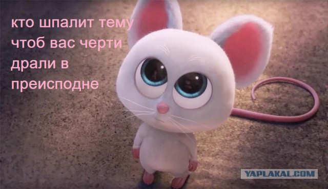 Если ты женат на б**ди!