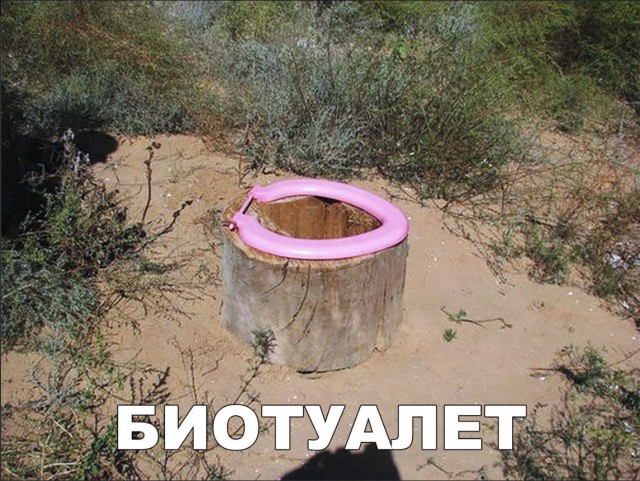 Прикольные картинки абавсём