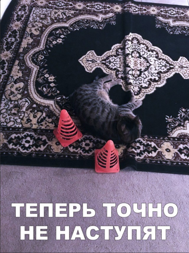 Нестандартный юмор