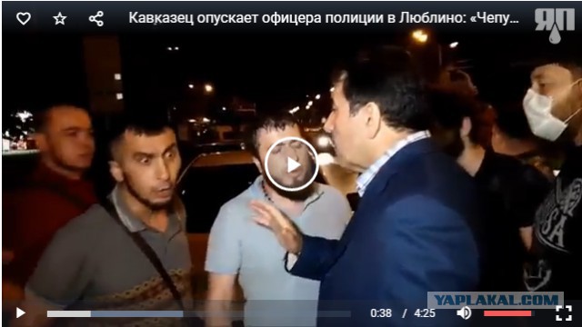 "Вас, офицера полиции, обзывают матом, а вы бездействуете!"