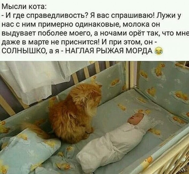 Сборник из разнык картинок