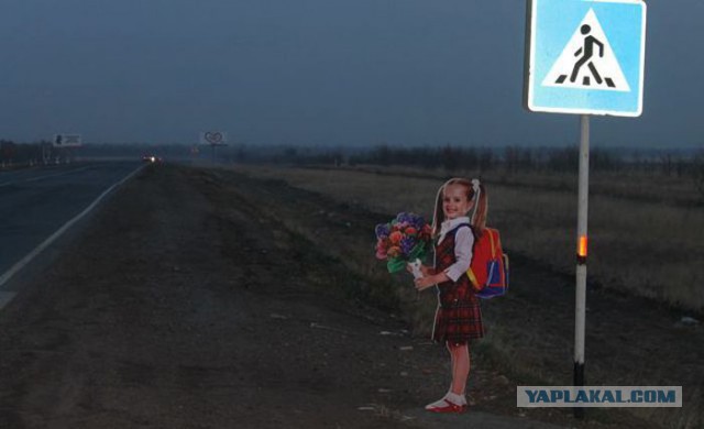 Новый знак ограничения скорости в Архангельске