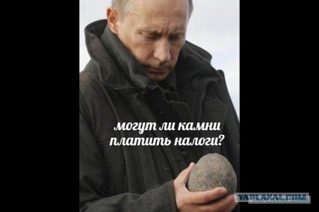 Депутат Госдумы сравнила малоимущих россиян с уголовниками