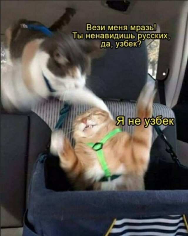 "Вези меня..." продолжается