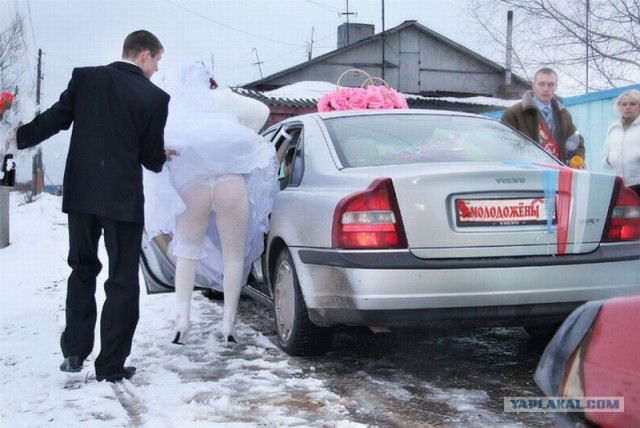 Свадьба, женихи и невесты