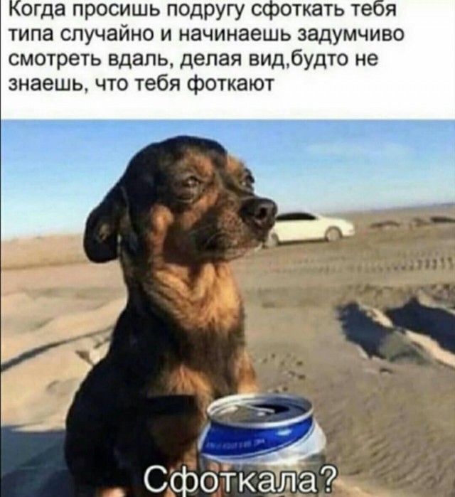Юмор в картинках 16.08.20