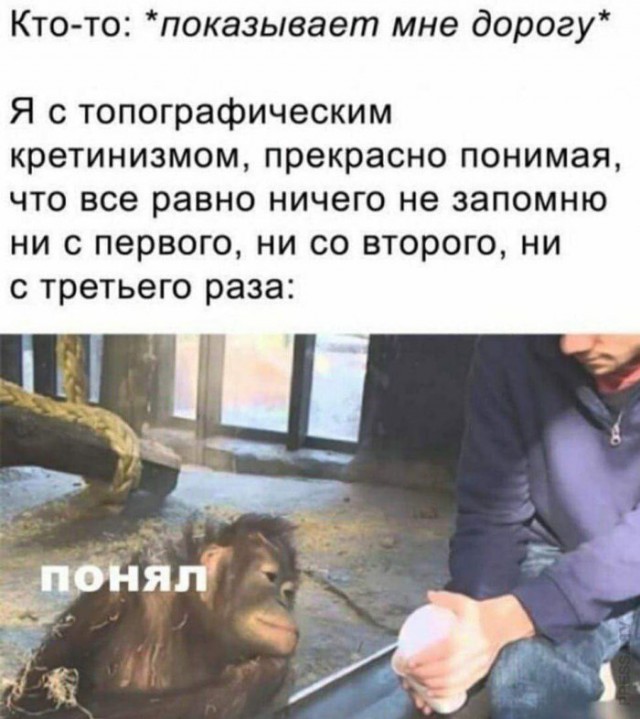 Немного картинок для настроения 01.10.20