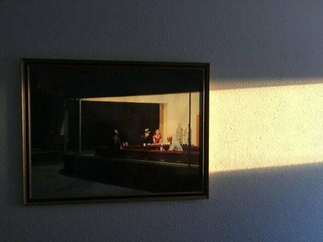 19 идеальных фотографий, на которых всё сошлось как надо и это совершенство 200 уровня