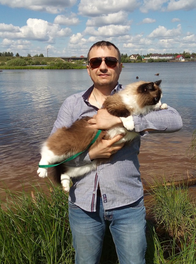 Лесная норвежская: Кошка-викинг с трёхслойной шубой научилась выживать при зубодробительных морозах