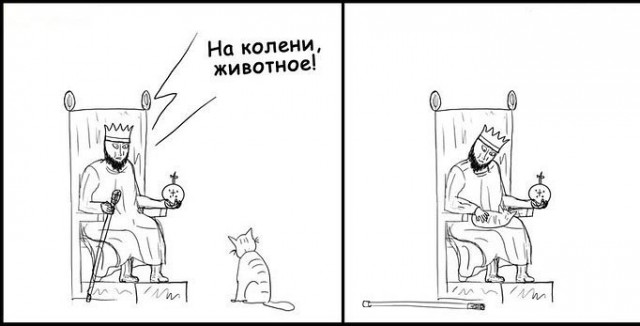 Картинки и мемы для настроения 017
