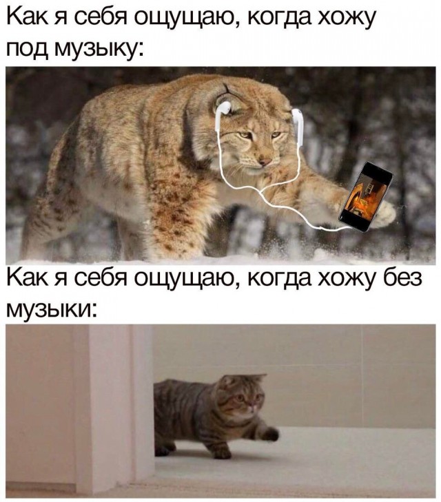 Картинки разные