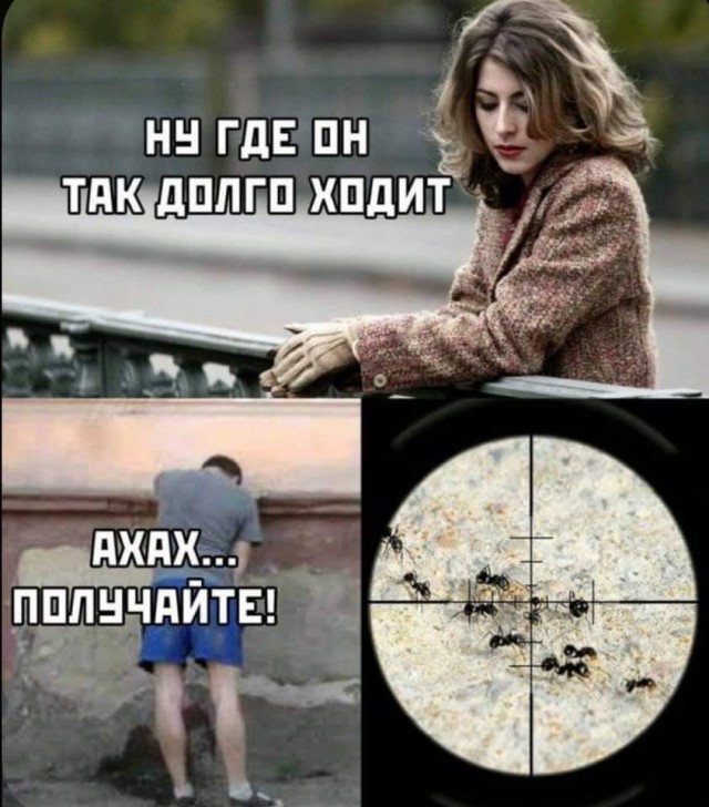 Юмор и прикольные картинки