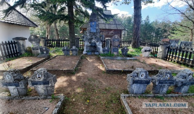 В Сербию на майские. Сложное, но увлекательное путешествие в пандемию