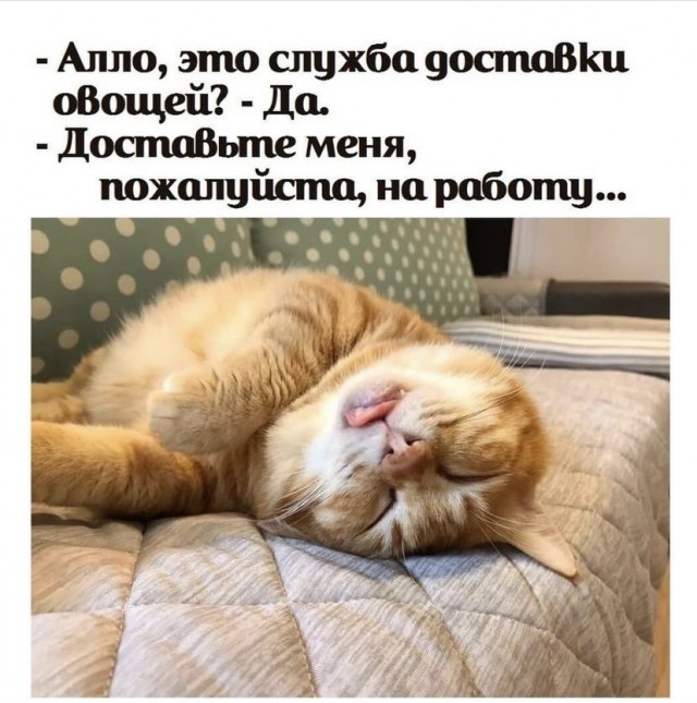 Так себе картинки 24.06.21