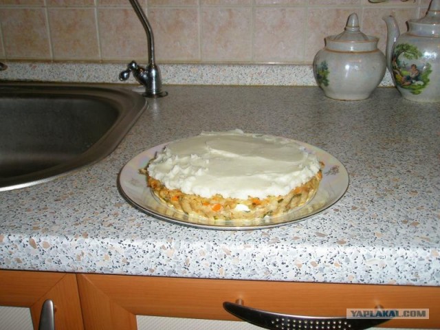 Праздник для питомца