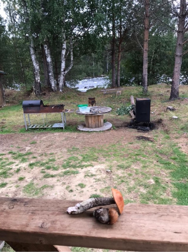 Рыбов вам из Карелии