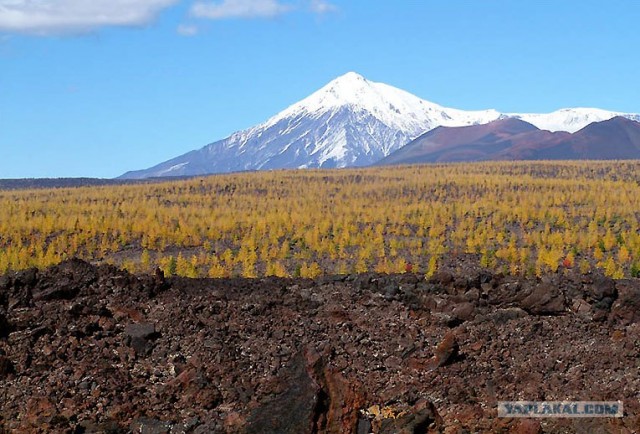Камчатка, 20 фото