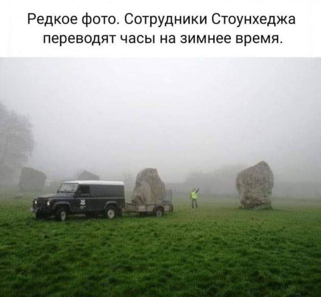 Всяческие картинки 02.11.2021